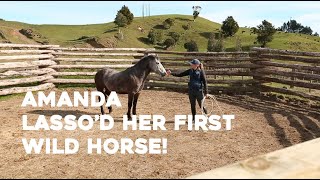 Amanda Lasso'd Her First Wild Horse! | Trojan's Journey