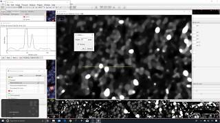 8 - Smoothing and fragmented nuclei