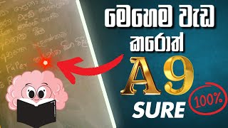 A9 ට වැඩ කරන විදිය | How to Get A9 | A9 study plan | Study Plan for OL 2025 | 2025 OL A9 Plan