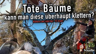 Baum fällen mit SKT und Steigeisen unter extremen Bedingungen - macht das bloß nicht! 😳