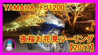 FJ1200　夜桜お花見ツーリング【2017】 (The cherry blossoms are really beautiful at night.)