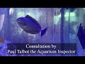 Consultation by Paul Talbot the Aquarium Inspector