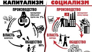 Деиндустриализация, депопуляция, дебилизация -Эдвин Пуке о языке #edvin #PIK #TVRIGA