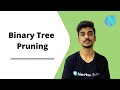 Binary Tree Pruning || Leetcode