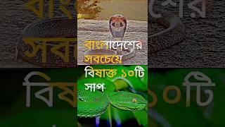 বাংলাদেশের সবচেয়ে বিষাক্ত ও ১০টি সাঁপ |#snake #animals   #russelsviper #viral #রাসেলভাইপার #wildlife