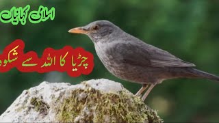 Best urdu moral atory about allah | Sparrow Kahani in urdu | urdu kahani