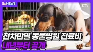 천차만별 동물병원 진료비 내년부터 공개