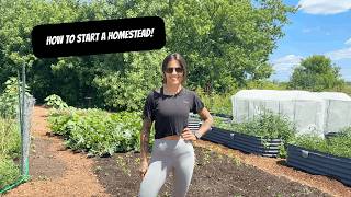 How To Start A Homestead | Beginner Homesteading