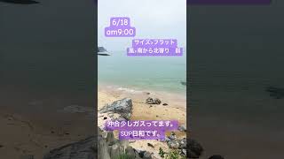 6/18山口県阿武郡木与波情報🌊#shorts #阿武町 #日本海 #波情報 #萩市 #sup #umiasobi