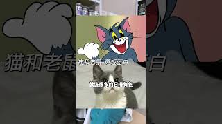 为什么你会觉得猫很可爱 可爱小猫 养猫家庭 养猫经验 宠物知识 猫咪