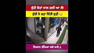 ਘਰ ਵਿੱਚ ਚੋਰ ਆਗੇ ਸੀ ਦੇਖੋ ਕੀ ਹੋਇਆ #shortvideo