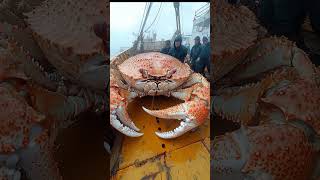 വലിയ ഞണ്ടിനെ പിടികൂടി #pacificocean #fishing #pacific #ai #deepsea #deepocean #crab