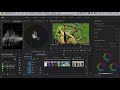 adobe premiere pro cc measure u0026 adjust skin tones larry jordan powerup webinar 268