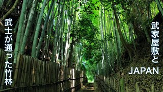 【JAPAN：Samurai's Residence \u0026 Bamboo forest】I walked through a bamboo grove where samurai used to go