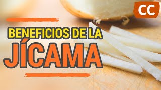 BENEFICIOS DE LA JÍCAMA | Ciencia de la Comida