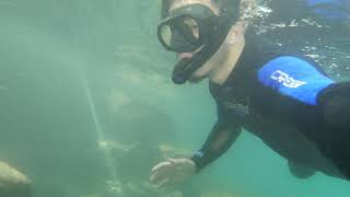 AMAZING SPRING SNORKELING WITH CLEAR WATER ! / עין מודע