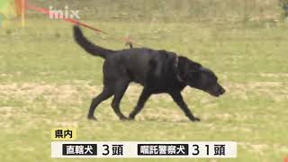 「頼りになる相棒」嘱託警察犬の技能審査会