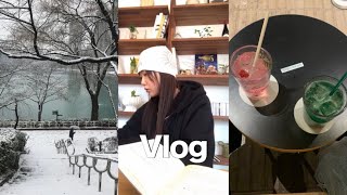 [vlog]새해 첫 브이로그 l 모노하,독서,송리단길 맛집,카페(샤브로21,one the other cafe),미용일상