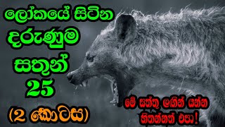 ලෝකයේ භයානකම සතුන් 25 කවුද? (part 2) | දැක්ක තැන මගහරින්න ඕන සත්තු☠️