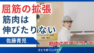 屈筋の拡張・筋肉は伸びたりない【厳選切抜き】さとう式リンパケア取扱い動画