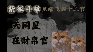 【紫微斗數初級講義】天同星在財帛宮|天同星在12宮躔度的狀況研究