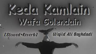 Keda Kamlain Wafa Golendain Wajid Ali Baghdadi New Latest Saraiki Song Shehr Bewafawan Da 2024