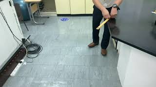 Projectile motion demo with two coins
