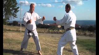 Kumite Techicken- W.S.K.F. Chief insruktur of Türkei,Sensei Hayrettin Hamurcu 2011.wmv