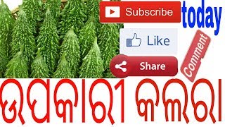 କଲରା ର ଉପକାରିତା,odia benefits of  gourd, odia health tips of bitter guord,, varkha mohapatra