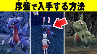 【ポケモンSV】序盤からフカマル＆ヨーギラスを入手する方法 入手場所/解説【ポケットモンスタースカーレット・バイオレット】