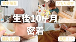 【生後10か月】1日密着！爆食息子がついに離乳食拒否！？おしゃべりもたくさんするようになりました◎