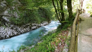 Vintgar Gorge (Slovenia) 4k