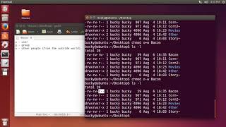 Linux Tutorial for Beginners 8 File Permissions