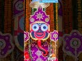 ତିନି ଧୂପ ବେଳେ🙏2023 shorts yshorts jagannath