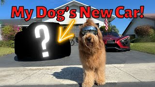 I Bought My Dog His DREAM Car!