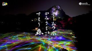 チームラボ かみさまがすまう森 - earth music\u0026ecology