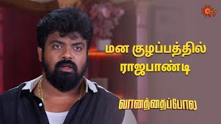 துளசி ராஜபாண்டியை விட்டு போனதுக்கு என்ன காரணம்? | Vanathai Pola - Semma Scenes | 08 Apr |  Sun TV