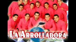 como burro sin mecate la arrolladora