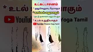 முதுகு நேராக இந்த ஆசனம் செய்யுங்க | Back care Yoga poses #shorts #trending #utkatasana