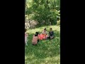 神秘朝鲜：朝鲜情侣在公园里拍结婚照 mysterious north korea happiness korean couple taking wedding photos in the park