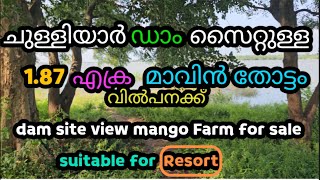 mango farm for sale Chulliyar Dam Palakkad Dt