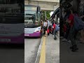 Singapore Bus ride