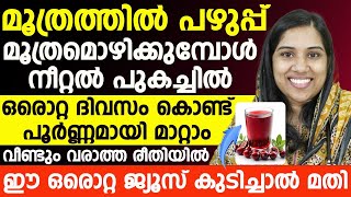 മൂത്രത്തിലെ പഴുപ്പ് മൂത്രമൊഴിക്കുമ്പോൾ നീറ്റൽ പുകച്ചിൽ ഒരൊറ്റ ദിവസം കൊണ്ട് പൂർണമായി മാറ്റം