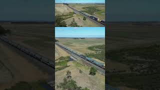 FOUR LOCOMOTIVE GRAIN TRAIN WESTBOUND #trainsworldwide #freighttrain #australiantrains #railway