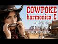 COWPOKE HARMONICA ( C DIATONIC ), ARMÓNICA C WESTERN TABS BLUES HARP C GAITA DE BOCA C MUNDHARMONICA