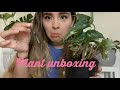 Plant unboxing 2019 | Gabriella Plants