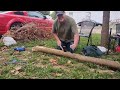 the mulberry tree splitting logs cutting staves