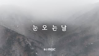 울산에도 눈이 왔어요 [영상스케치] (2025.02.07/울산MBC)