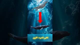 تطور الحوت الأزرق 😱🐋| #تطور#الحوت_الازرق#اكسبلور#معلومات