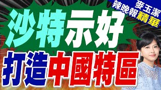 沙特劃出一塊地 專門修建中國特區 規劃佔地4平方公里?｜沙特示好 打造中國特區｜蔡正元.帥化民.謝寒冰深度剖析?【麥玉潔辣晚報】精華版@中天新聞CtiNews